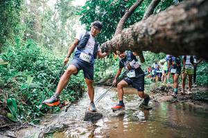 BIB: 
                            <button type="button" onclick="openModal(25375007)" class="btn btn-primary btn-sm float-right btn-popup" data-toggle="modal" data-target=".modal-high-quality">
                        <i class="fas fa-shopping-cart"></i> Add to Cart
                    </button>
                                            <button type="button" onclick="isThisMe(25375007, true)" class="btn btn-success btn-sm float-right btn-popup btn-isme hidden" data-toggle="tooltip" data-placement="bottom" title="นี่คือรูปของคุณใช่ไหม คลิกที่นี่เพื่อเอาเข้าอัลบั้ม">
                        <i class="fas fa-plus"></i> Add to album
                    </button>
                    <button type="button" onclick="isThisMe(25375007, false)" class="btn btn-warning btn-sm float-right btn-popup btn-isnotme hidden">
                        <i class="fas fa-ban"></i> Remove from album
                    </button>